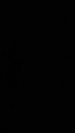 Sfddf6708a8ec4b90b6e3253c41889e99M.jpg